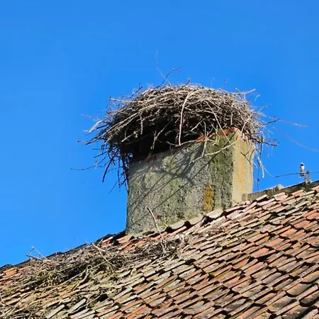 Oliwkowe Jerzykowo -klimatyzacja *