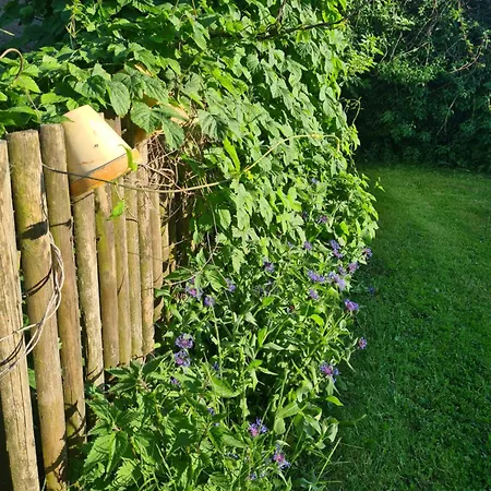 Holiday home Oliwkowe Jerzykowo -klimatyzacja Radzieje