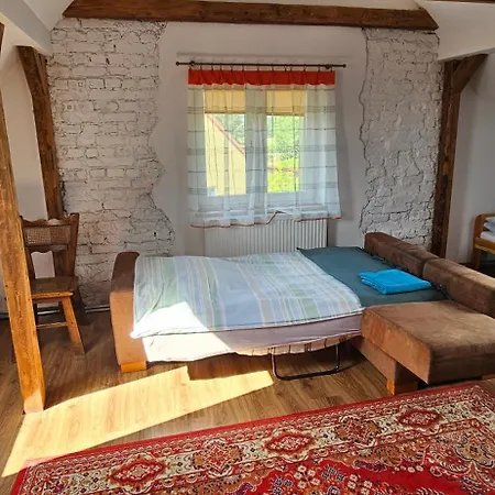 Oliwkowe Jerzykowo -klimatyzacja Holiday home Radzieje