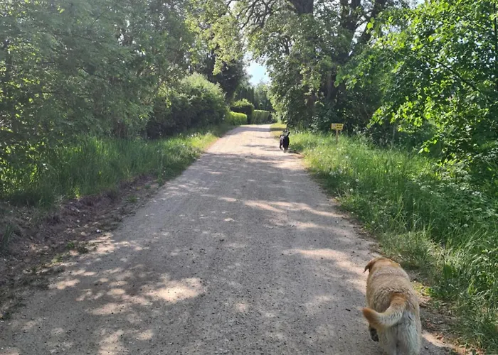 Oliwkowe Jerzykowo -klimatyzacja Holiday home Radzieje