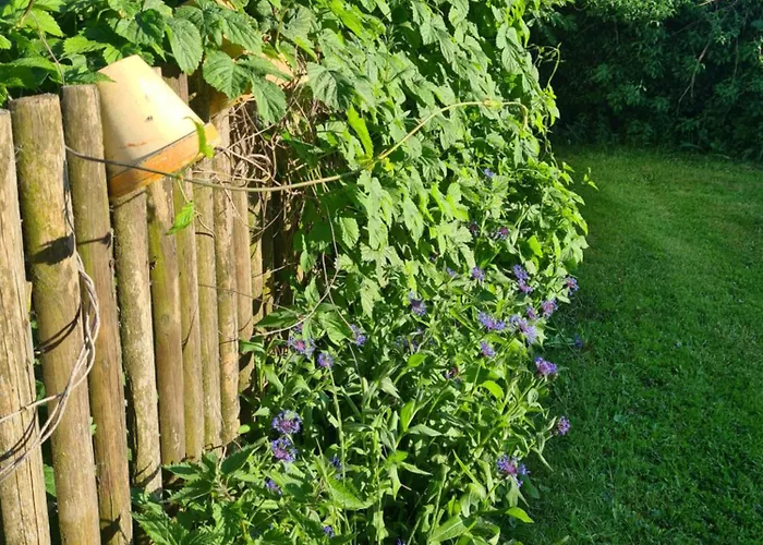 Holiday home Oliwkowe Jerzykowo -klimatyzacja Radzieje