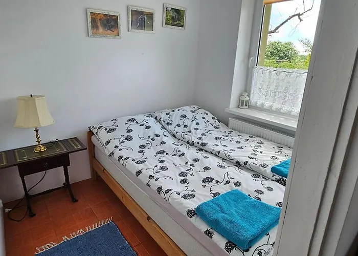 Oliwkowe Jerzykowo -klimatyzacja Holiday home *